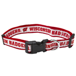 WI-3036 - Wisconsin Badgers - Dog Collar
